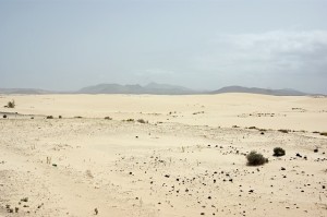 desert-83422_640