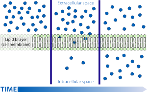 science-41601_640